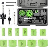 Bi-Metal Hole Saw Kit, Hole Saw Set with 3/4" to 2-1/2" (19-64mm) Saw Blades, Mandrels, Hex Key, Hol