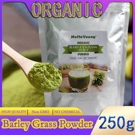 Barley grass official store Organic Barley Grass Powder original 250g  Chlorophyll &amp; Trace Minerals No Maltodextrin &amp; Sugar