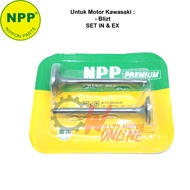 Kawasaki Blitz Valve Set NPP Premium / Blitz Valve Set