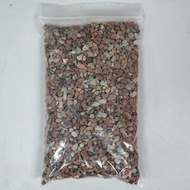 [Potting Medium] 500ml Rainbox Mix Succulent Potting Medium (Soil)