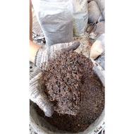 tanah hitam mix/medium tanaman keladi,sayuran, percambahan biji benih