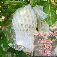 Guava Guava Bagging Fruit Protection Net Cover Tree Insect-Proof Bag Guava Guava Bag Guava Guava Bag