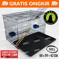 KANDANG BURUNG SANGKAR BURUNG SANGKAR UMBARAN KANDANG BESILIPAT SIZE LARGE SEMPATI TERNAK BURUNG LOV