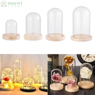 MAYWI Glass cloche Home Decor Terrarium Tabletop Terrarium Jar Transparent Bottle Flower Storage box