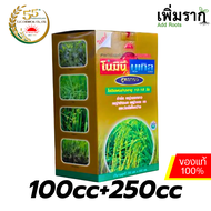 โนมินี + บูเกิล สูตรทอง ชุดกำจัดหญ้าในนาข้าว สำหรับฉีดช่วงข้าวอายุ 10-15 วัน (Nominee + Bugle Gold)