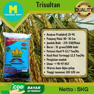 Bibit Padi Unggul TRI SULTAN 5kg