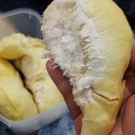 new durian montong utuh cane singaraja bali 2,7kg best seller