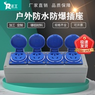 Genuine Product250*80*64Cast Aluminum10A—250VIP66Five-hole Four-position Sealed Socket Explosion-Hig