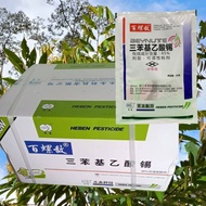 [ORIGINAL] 40g x 125packet RACUN SIPUT GONDANG Mas / Babi / Poison Gondang Emas