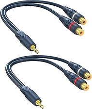 DteeDck RCA to AUX Adapter 2 Pack, 2 RCA Female to 1/8 inch Stereo Headphone Cable, RCA to 3.5 mm Ja