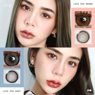 คอนแทคเลนส์(มินิ) Love Too Brown / Gray (Luxzylens) ⭐️ลายฮิต ขายดีมาก กรองแสงกันยูวี