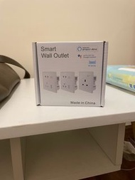WiFi wall socket (support Apple and Google)