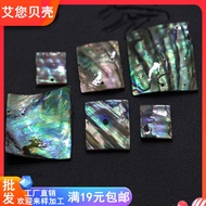 Natural Deep Sea New Zealand Colorful Shells Abalone Shells Rectangular Piece Headdress Earrings DIY