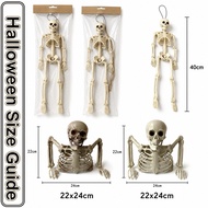 Halloween Haunted House Skeleton Realistic Plastic Prop For Spooky Atmosphere