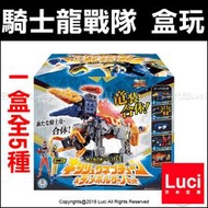 MINIPLA 03 騎士龍合體 騎士龍戰隊 龍裝者 一套5盒 全5種 騎士龍 盒玩 BANDAI 萬代 第3彈日本代購