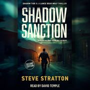 Shadow Sanction Steve Stratton
