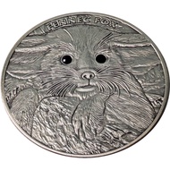 2013 Fennec Fox Antique Finish Silver Coin
