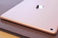 奇機巨蛋05.18.01售二手-APPLE 10.2 吋iPad Wi-Fi 機型128GB (MYLF2TA/A)