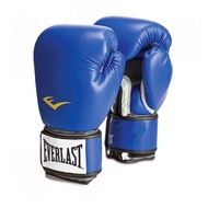 Everlast EVL77 boxing Gloves