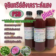 (หัวเชื้อ) จุลินทรีย์สังเคราะห์แสง PSB เชื้อเป็นขยายได้จริง 👍เข้มข้น‼️ (พร้อมวิธีขยายเชื้อ)