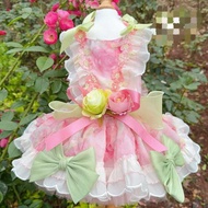 Dog clothes cat DP-CL-DRS-500