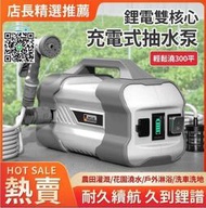 【全場免運】臺灣保固進口品質抽水泵 德國芝浦充電式抽水泵淋菜澆菜神器澆水機新型農用澆地家用抽水機  露天市集  全台