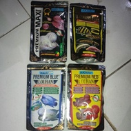 Akari premium Maxi, red, Yellow, and blue flowerhorn