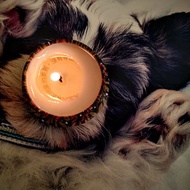 聖誕禮物/交換禮物芯希望祝福訊息蠟燭/香氛蠟燭