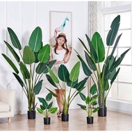 Ready Stock Malaysia Artificial Banana Tree
