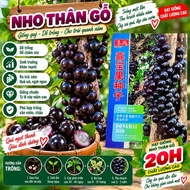 Woody Grape Seeds (30H)