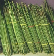 daun palas ketupat