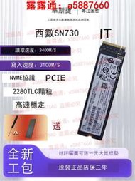 WD西數SN730 512G1T 高速M2 NVME筆記本臺式機pm981a全新固態硬盤