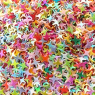 [ONE LEFT] 4 Point Star Sequins (15g packet size) for Slime DIY Craft Nail Art Flakes Glitter