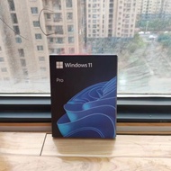 Windows 11 or 10 Pro PC - USB Flash Drive / DVD - English - 1 PC