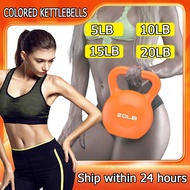 Kettlebell / Dumbbell 5/10/15/20/25/30 LBS Home/Gym Fitness Equipmentp