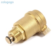 COLO DN15 DN20 DN25 Automatic Vent Valve Brass Vent Valve for Heating  Water