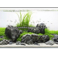 Aquarium SETUP ICE CREAM CLIP 1KG - SUPER BEAUTIFUL STONE TEXTURE