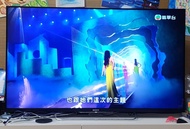 Sony  49吋電視 (KDL-50W800B)