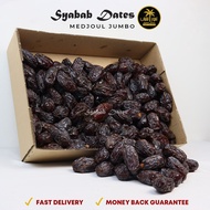 Kurma rotab medjoul jumbo palestine syabab dates