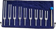 9 Packs Solfeggio Tuning Forks Set (Silver), Chakra Forks for Balancing, Sound Healing, DNA Repair,
