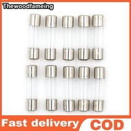 THEFAM 10pcs Glass Tube Fuse 5mm x 20mm 1.6A T1.6A 250V Slow Blow 1.6Amps EN
