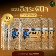 ข้าวกล้อง กข43 ปลอดสาร ดัชนีน้ำตาลต่ำ ถุงแพ็คสูญญากาศ 1 กิโลกรัม (แพ็ค10) ตรา สวนอิสระพินิจ