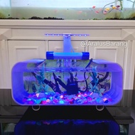 Aquarium Mini Full Set Dengan Pompa Dan Filter / Aquarium Akrilik / Aquarium Ikan Cupang / Aquarium