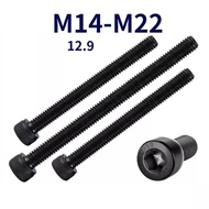 12.9 Grade Cup Head Hexagon Socket Screw M14/M16/M18/M20/M22 [FKY-G]