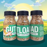 Gutload - Gecko Fattening Gecko Enlarger Vitamin Gecko Fattening Gecko Cricket Vitamin Enhancer