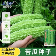 [Imported Vegetables] Long Green Bitter Gourd Seeds High-Produced Goosebumps Green Bitter Gourd Four