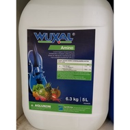 (5L ) Baja foliar Wuxal Amino Agrobridge