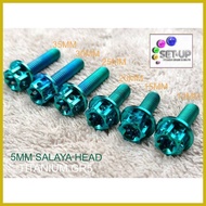 ◎ ┇ ∈ TITANIUM GR5 5MM BOLTS SALAYA HEAD