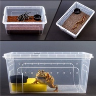 Climb Pet Python Spider Gecko Lizard Scorpion Centipede Horned Frog Gecko Beetle Insect Breed