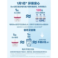 German BWT BWT Filter Element Water Purifier Household Water Purifier Kitchen Water Filter Water Bot